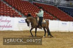 15BUCK_00177 proof