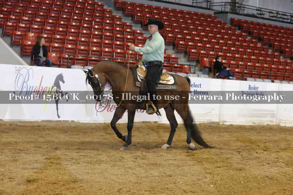 Proof 15BUCK_00178