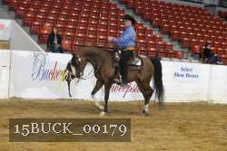 15BUCK_00179 proof