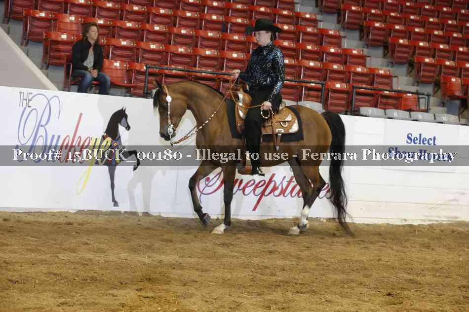 Proof 15BUCK_00180