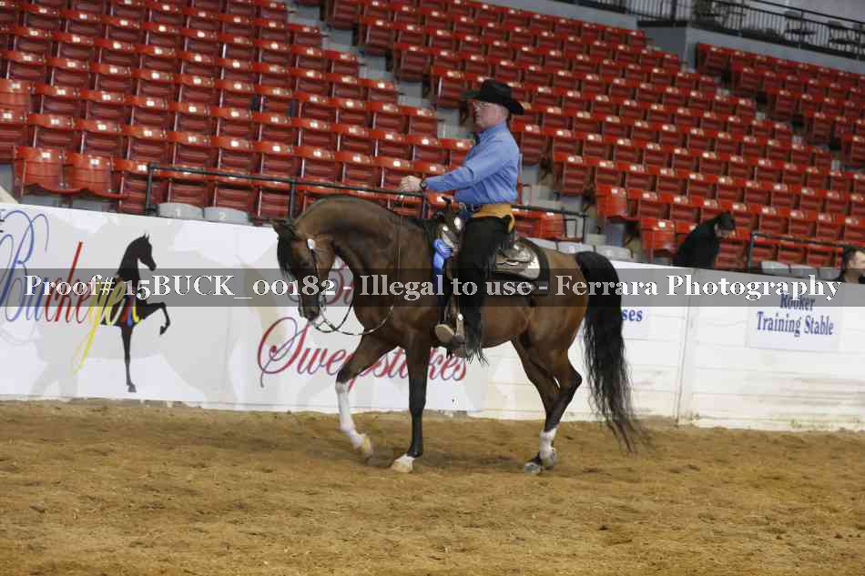 Proof 15BUCK_00182