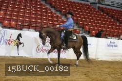 15BUCK_00182 proof