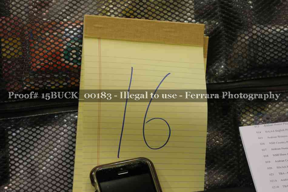 Proof 15BUCK_00183