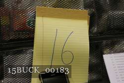 15BUCK_00183 proof