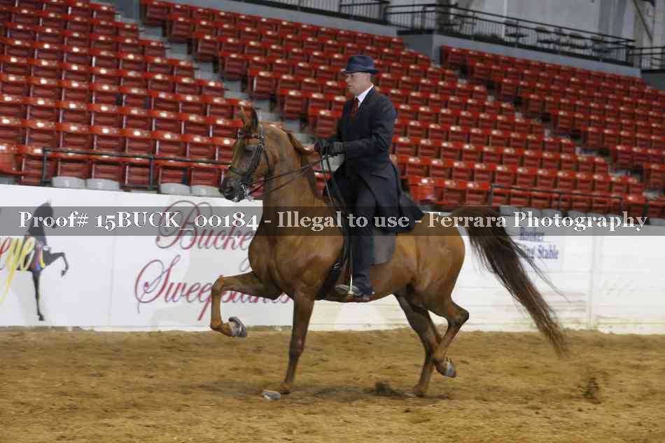 Proof 15BUCK_00184