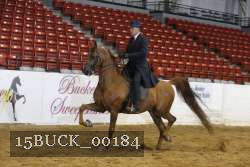 15BUCK_00184 proof