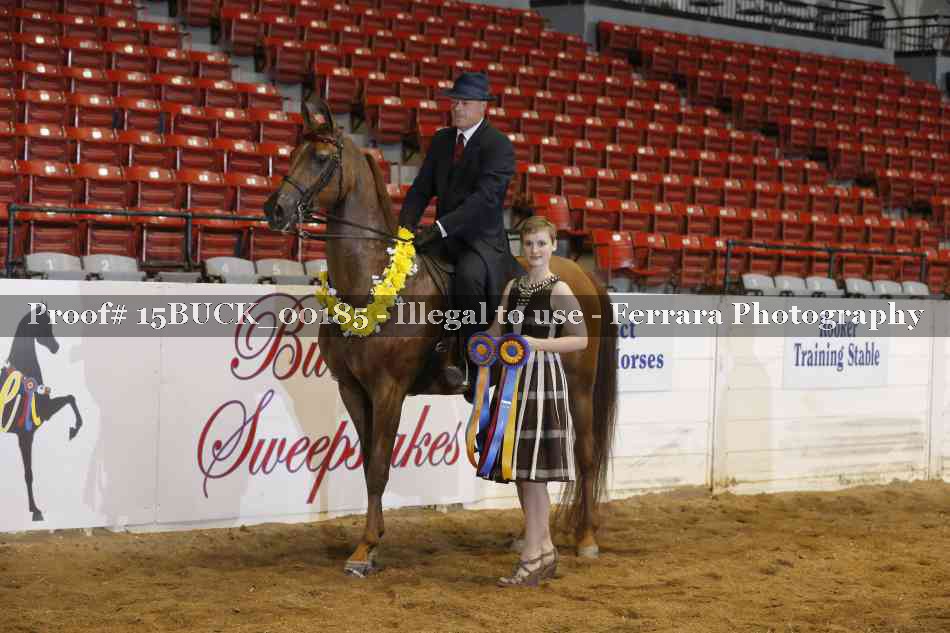 Proof 15BUCK_00185