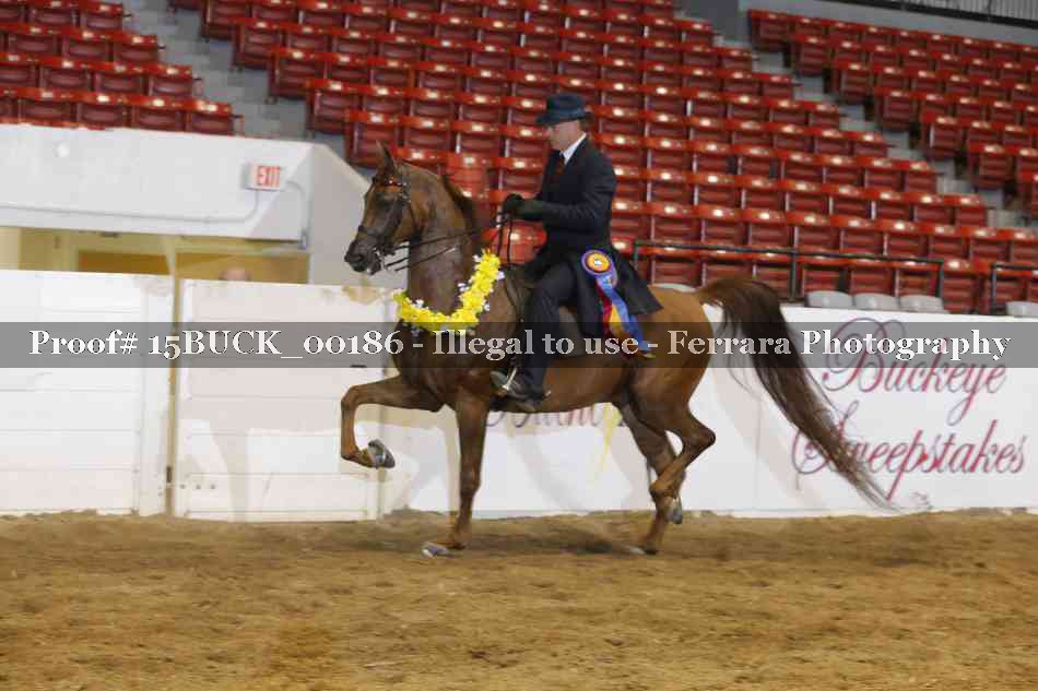 Proof 15BUCK_00186