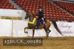 15BUCK_00186 proof