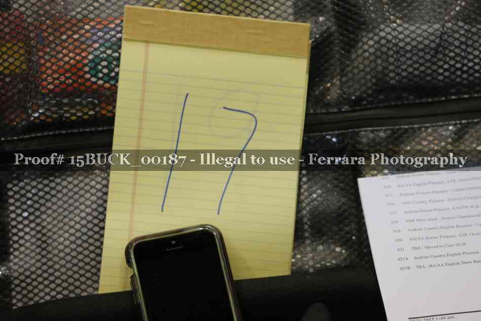 Proof 15BUCK_00187