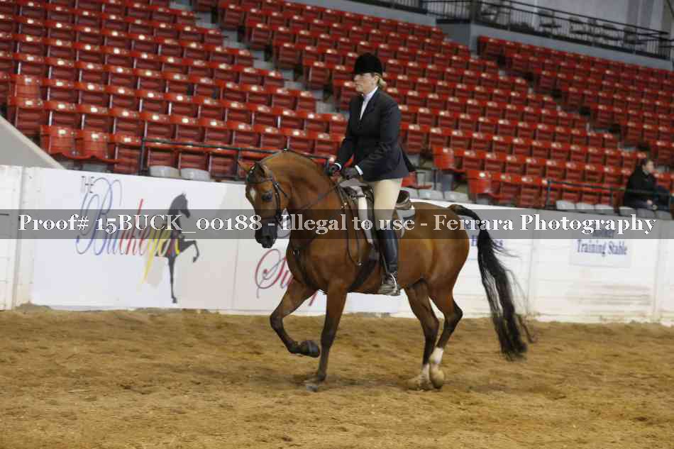 Proof 15BUCK_00188