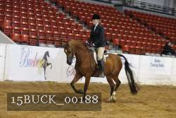 15BUCK_00188 proof