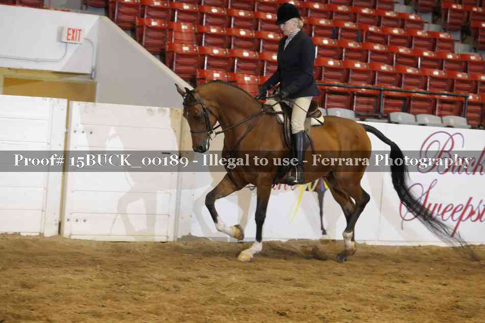 Proof 15BUCK_00189
