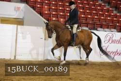 15BUCK_00189 proof