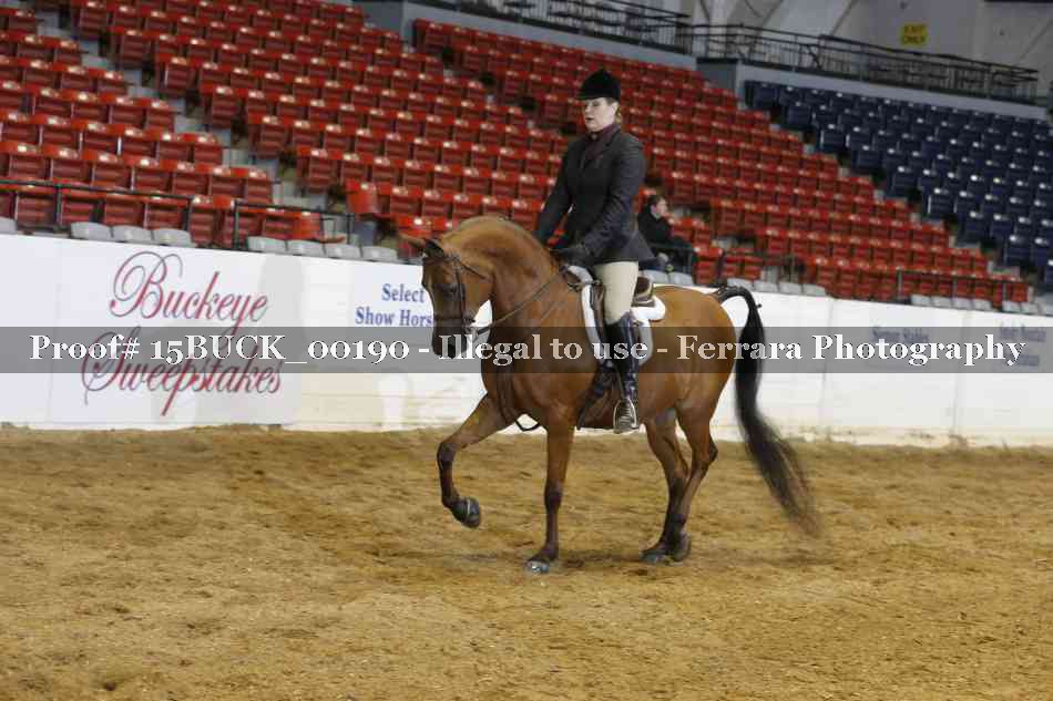 Proof 15BUCK_00190