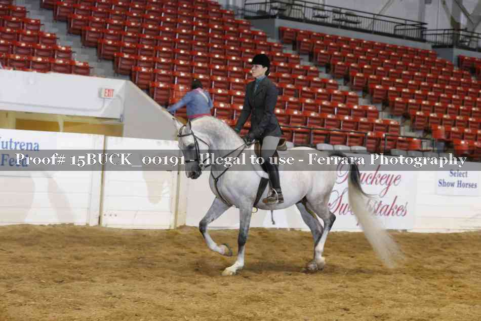 Proof 15BUCK_00191