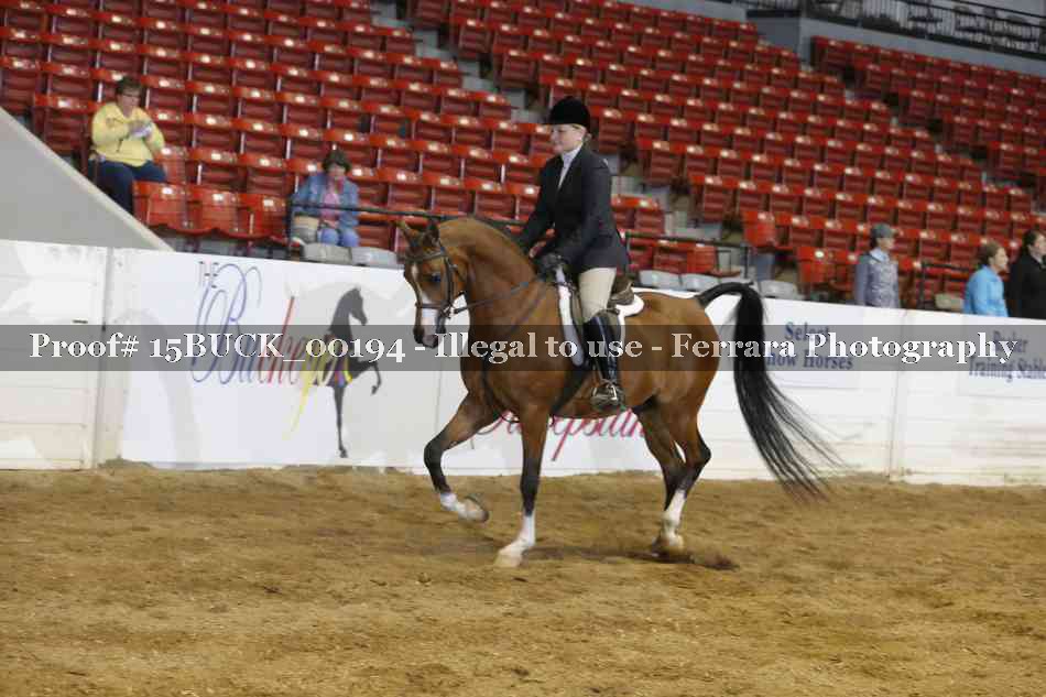 Proof 15BUCK_00194