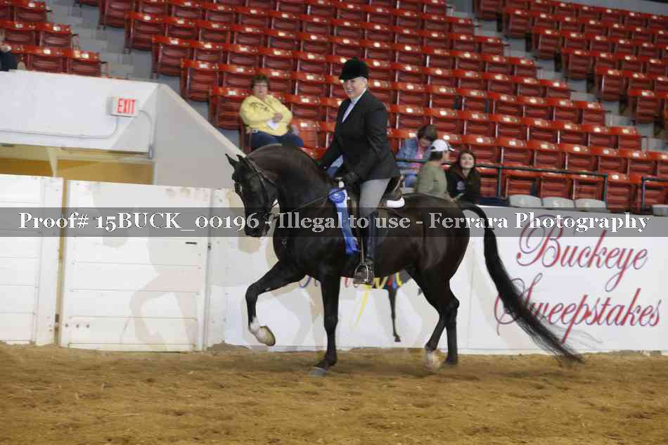 Proof 15BUCK_00196
