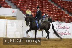 15BUCK_00196 proof