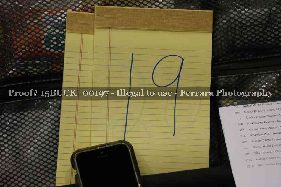 Proof 15BUCK_00197