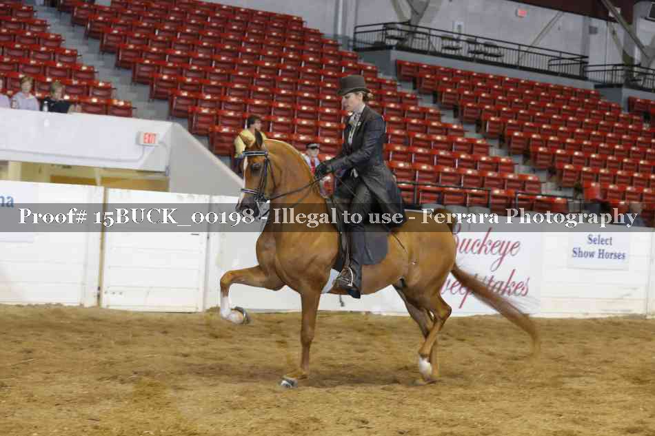 Proof 15BUCK_00198