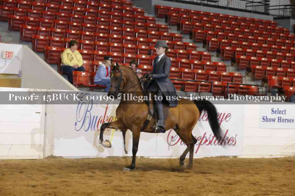 Proof 15BUCK_00199