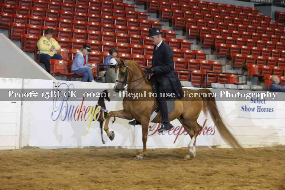 Proof 15BUCK_00201