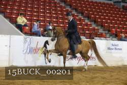 15BUCK_00201 proof