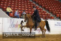 15BUCK_00202 proof
