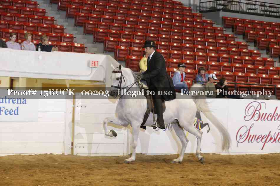 Proof 15BUCK_00203