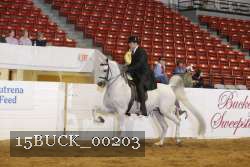 15BUCK_00203 proof