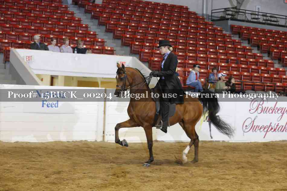 Proof 15BUCK_00204