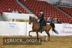 15BUCK_00204 proof