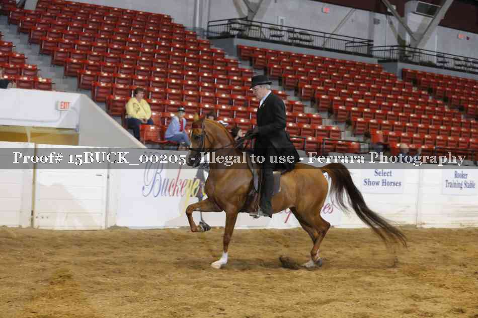 Proof 15BUCK_00205