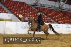 15BUCK_00205 proof