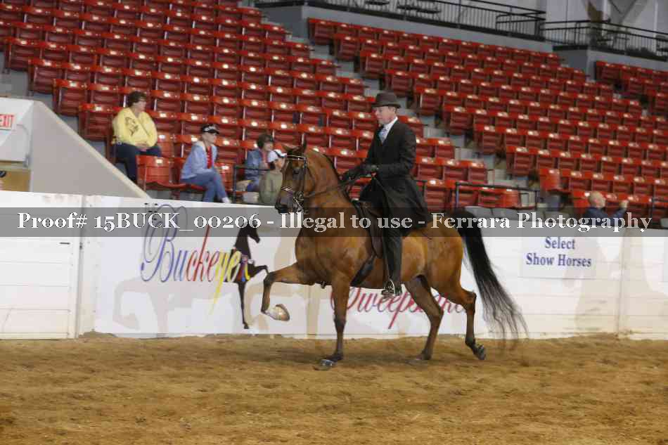 Proof 15BUCK_00206