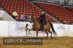 15BUCK_00206 proof