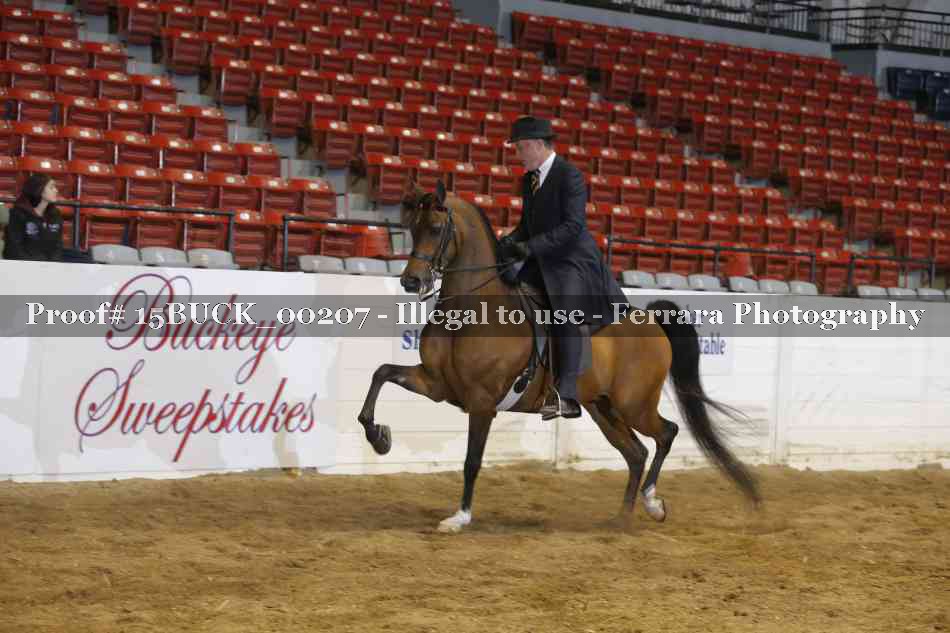 Proof 15BUCK_00207