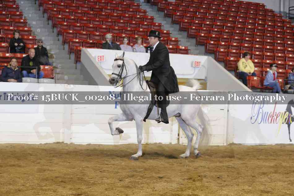 Proof 15BUCK_00208