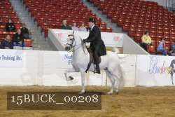 15BUCK_00208 proof