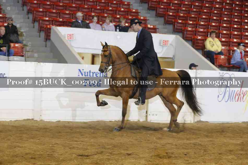 Proof 15BUCK_00209