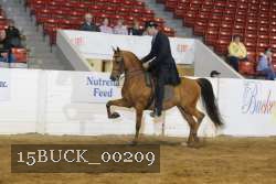 15BUCK_00209 proof
