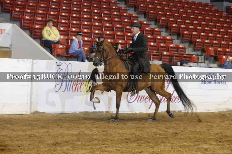 Proof 15BUCK_00210