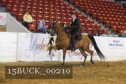 15BUCK_00210 proof