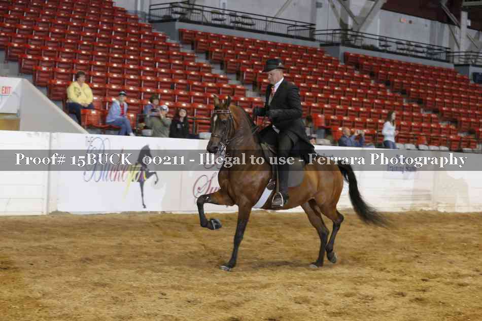 Proof 15BUCK_00211