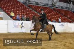 15BUCK_00211 proof