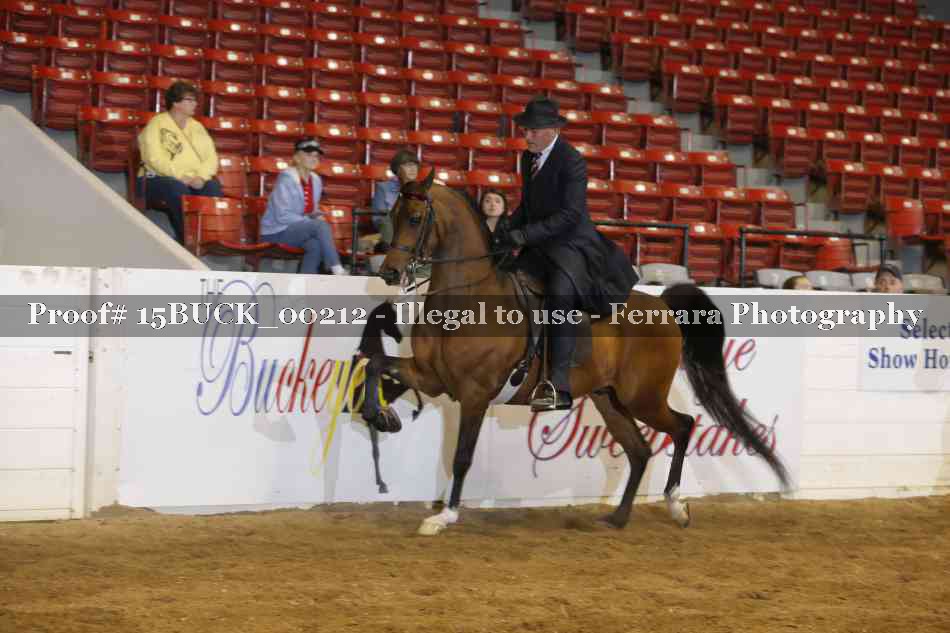 Proof 15BUCK_00212