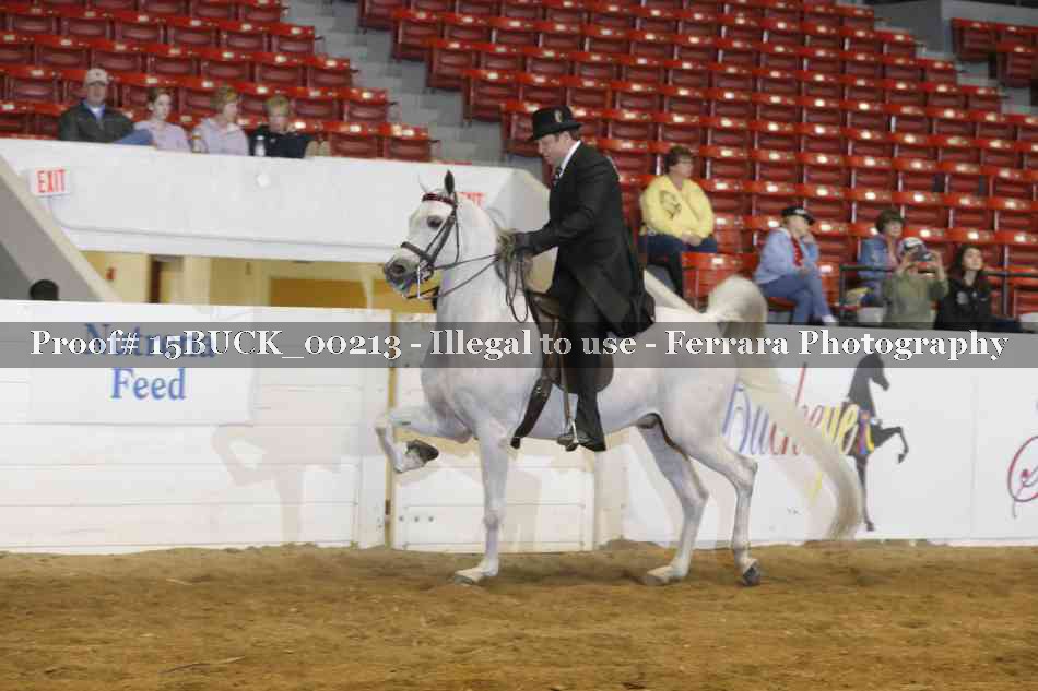 Proof 15BUCK_00213