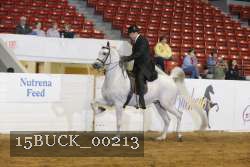 15BUCK_00213 proof