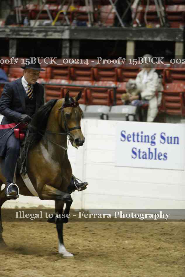 Proof 15BUCK_00214